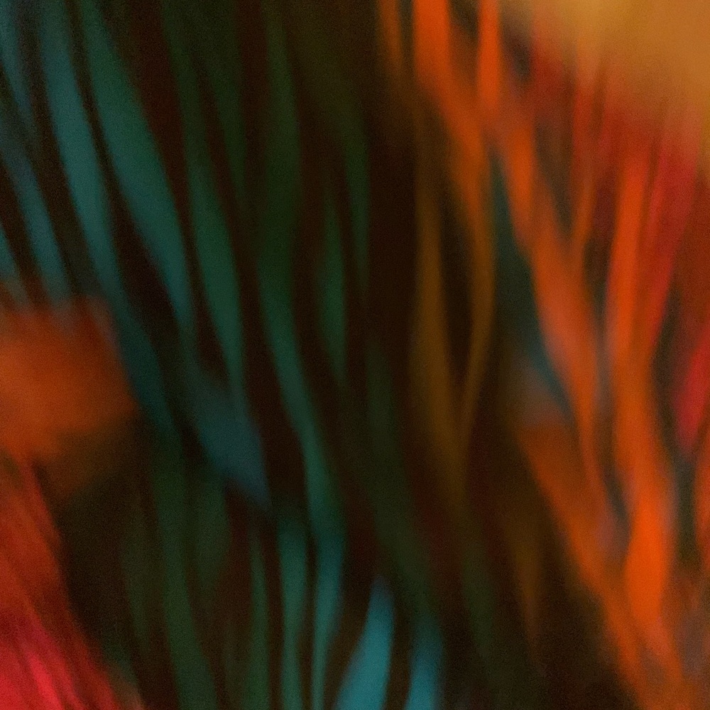Multi-Color Mini Skirt - Picture 4 of 4